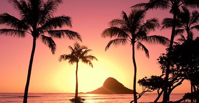 hawaiian images